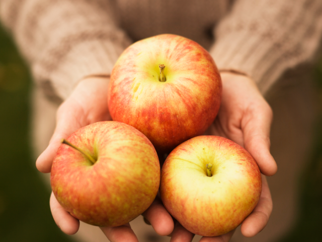 Epler i hånd